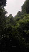 noa_mendel_ Altpins Profile Picture
