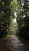 noa_mendel_ Altpins Profile Picture