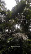 noa_mendel_ Altpins Profile Picture