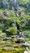 noa_mendel_ Altpins Profile Picture