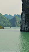 noa_mendel_ Altpins Profile Picture