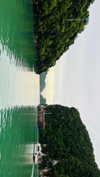 noa_mendel_ Altpins Profile Picture