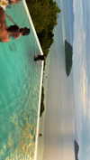 noa_mendel_ Altpins Profile Picture
