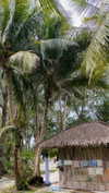 noa_mendel_ Altpins Profile Picture
