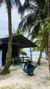 noa_mendel_ Altpins Profile Picture