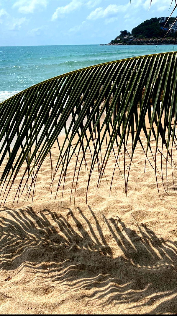 noa_mendel_ noa_mendel_ archive image