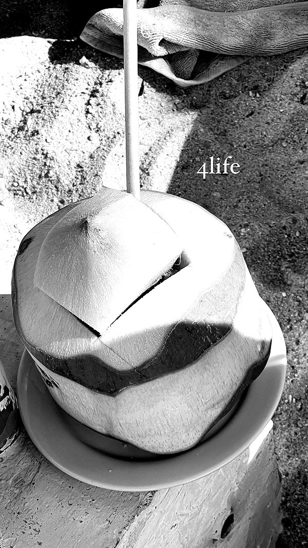 noa_mendel_ noa_mendel_ archive image