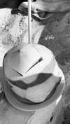 noa_mendel_ Altpins Profile Picture