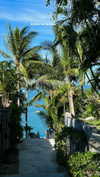 noa_mendel_ Altpins Profile Picture