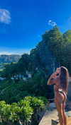noa_mendel_ Altpins Profile Picture