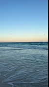 noa_mendel_ Altpins Profile Picture