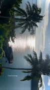 noa_mendel_ Altpins Profile Picture
