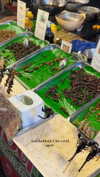 noa_mendel_ Altpins Profile Picture