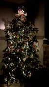 noa_mendel_ Altpins Profile Picture