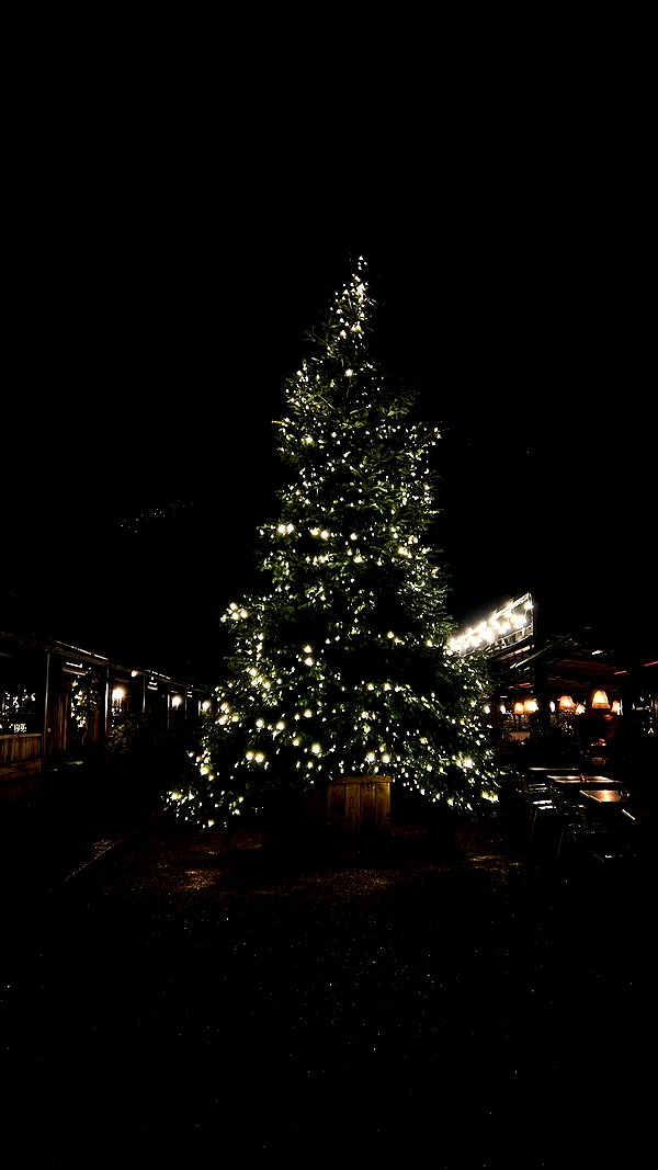 noa_mendel_ noa_mendel_ archive image
