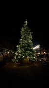 noa_mendel_ Altpins Profile Picture