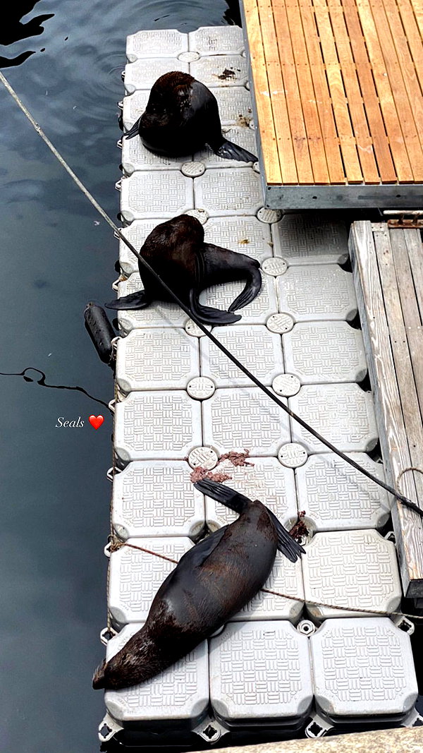 noa_mendel_ instagram image archive image