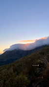 noa_mendel_ Altpins Profile Picture