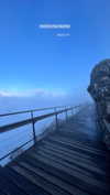 noa_mendel_ Altpins Profile Picture