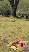 noa_mendel_ Altpins Profile Picture