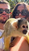 noa_mendel_ Altpins Profile Picture
