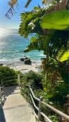 noa_mendel_ Altpins Profile Picture