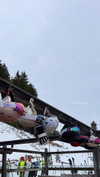 noa_mendel_ Altpins Profile Picture