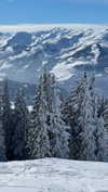 noa_mendel_ Altpins Profile Picture