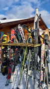 noa_mendel_ Altpins Profile Picture