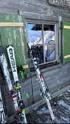 noa_mendel_ Altpins Profile Picture