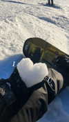 noa_mendel_ Altpins Profile Picture