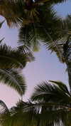 noa_mendel_ Altpins Profile Picture