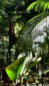 noa_mendel_ Altpins Profile Picture