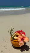 noa_mendel_ Altpins Profile Picture