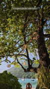 noa_mendel_ Altpins Profile Picture
