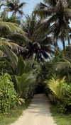noa_mendel_ Altpins Profile Picture