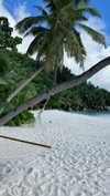 noa_mendel_ Altpins Profile Picture