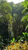 noa_mendel_ Altpins Profile Picture