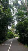 noa_mendel_ Altpins Profile Picture