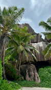 noa_mendel_ Altpins Profile Picture