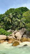 noa_mendel_ Altpins Profile Picture