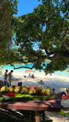 noa_mendel_ Altpins Profile Picture