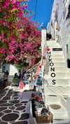 noa_mendel_ Altpins Profile Picture