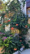 noa_mendel_ Altpins Profile Picture