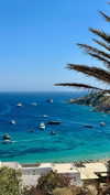 noa_mendel_ Altpins Profile Picture