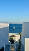 noa_mendel_ Altpins Profile Picture