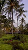noa_mendel_ Altpins Profile Picture