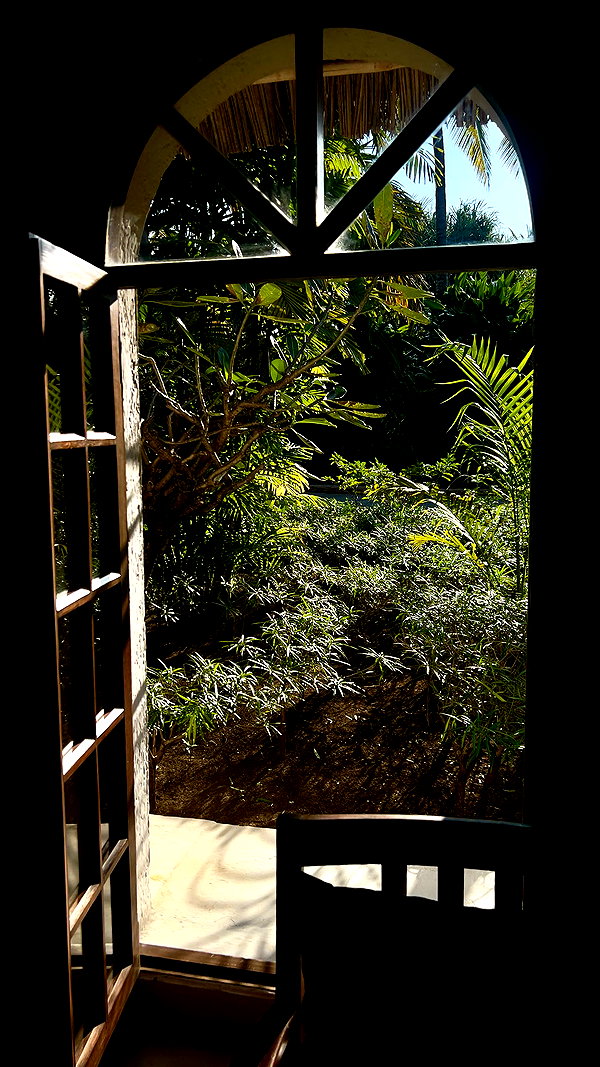 noa_mendel_ noa_mendel_ archive image