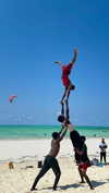 noa_mendel_ Altpins Profile Picture