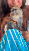 noa_mendel_ Altpins Profile Picture
